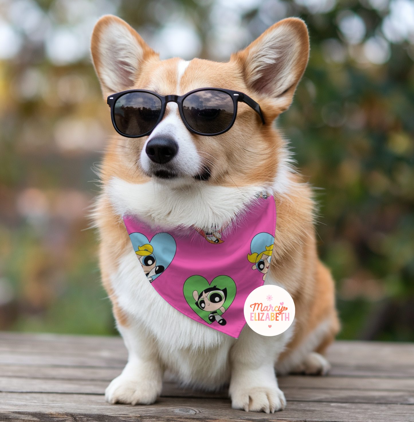 Power Girls Pet Bandana