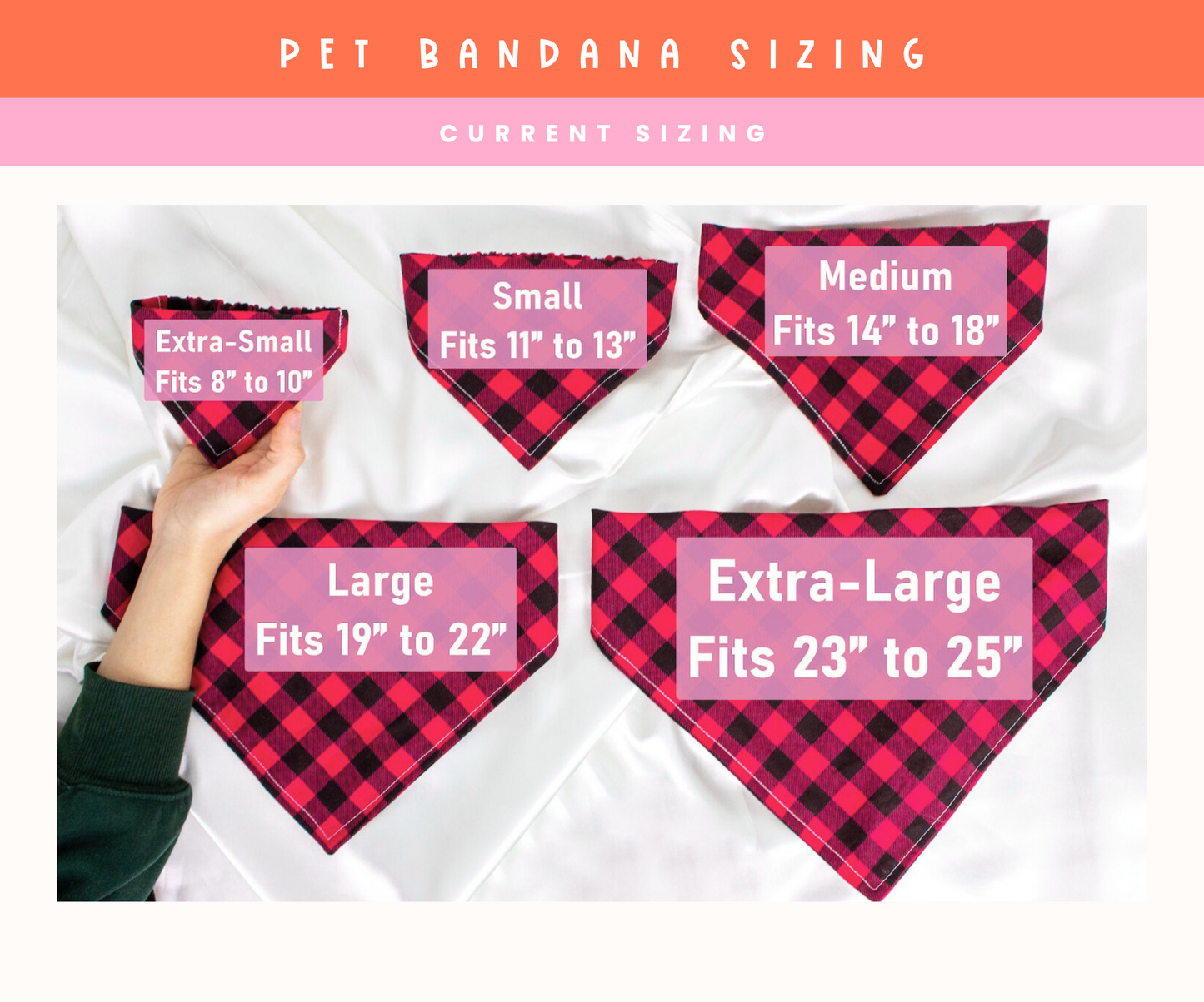A Real Boy Pet Bandana
