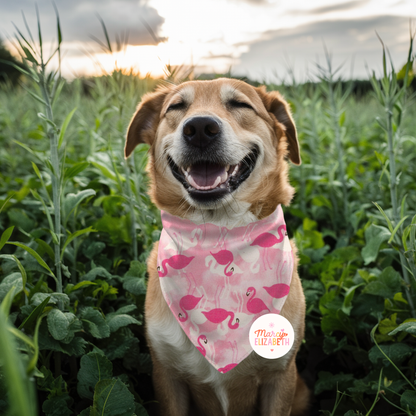 Flamingo Pet Bandana