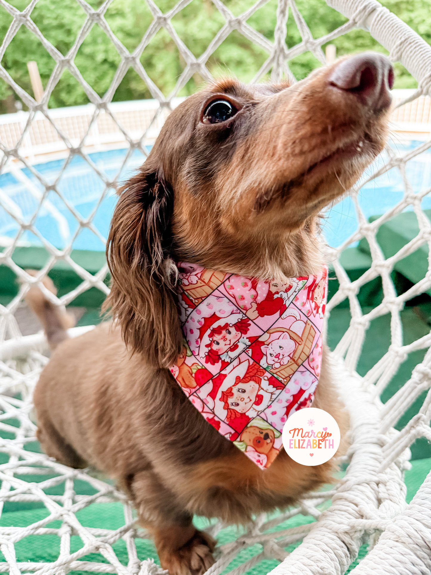 Strawberry Pet Bandana